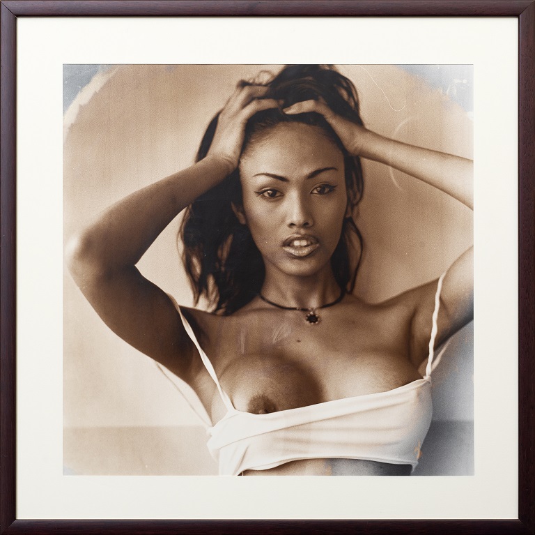 Francesca Galliani, The ideal woman, 2001